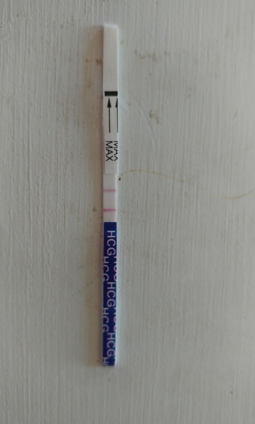 Rite Aid Early Pregnancy Test, 8 Days Post Ovulation, FMU, Cycle Day 26