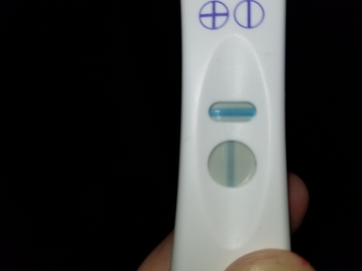 Home Pregnancy Test, Cycle Day 42