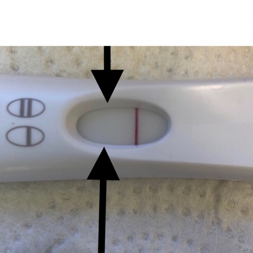First Response Early Pregnancy Test, Cycle Day 33