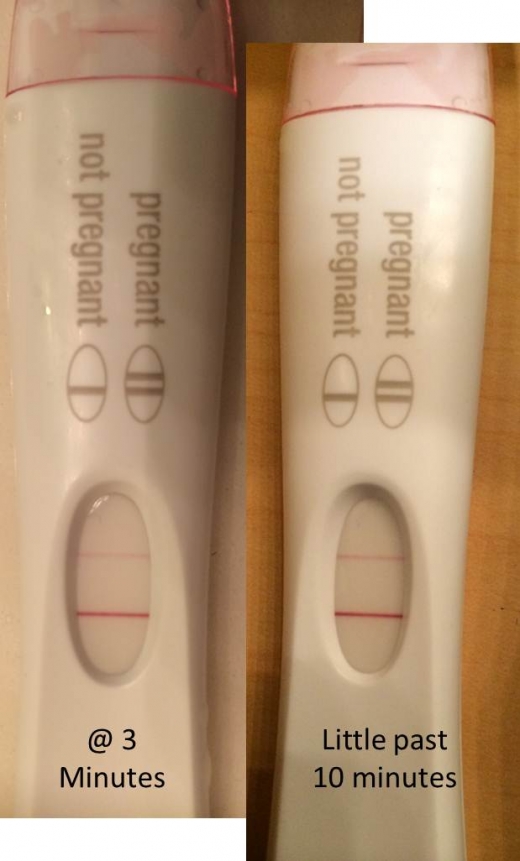 First Response Early Pregnancy Test, 13 Days Post Ovulation, FMU