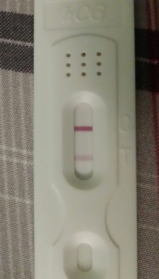 New Choice (Dollar Tree) Pregnancy Test, 17 Days Post Ovulation