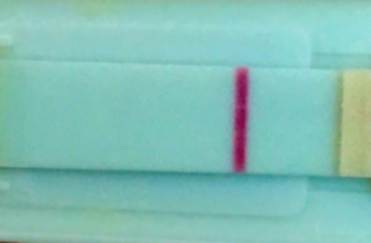Generic Pregnancy Test, 11 Days Post Ovulation, Cycle Day 25