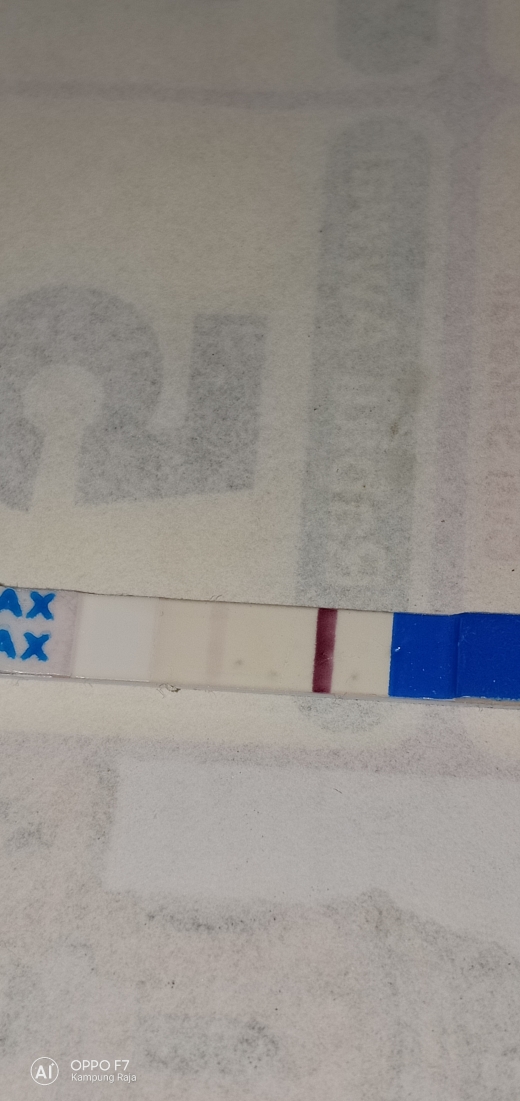Home Pregnancy Test, 12 Days Post Ovulation, FMU
