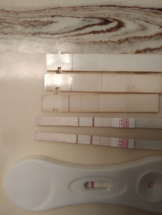First Response Rapid Pregnancy Test, 18 Days Post Ovulation