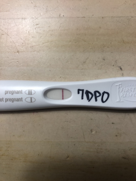 First Response Early Pregnancy Test, 7 Days Post Ovulation, Cycle Day 28