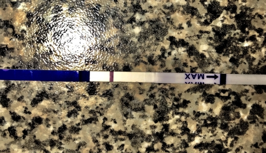 Home Pregnancy Test, 7 Days Post Ovulation, FMU