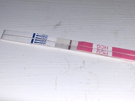 Clinical Guard Pregnancy Test, 13 Days Post Ovulation, FMU