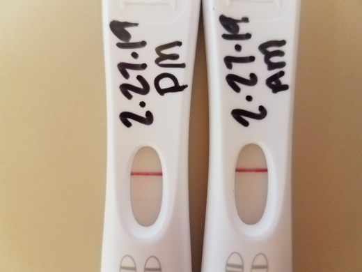 First Response Early Pregnancy Test, 12 Days Post Ovulation, Cycle Day 26
