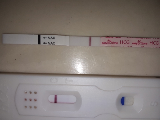 Home Pregnancy Test, FMU, Cycle Day 29