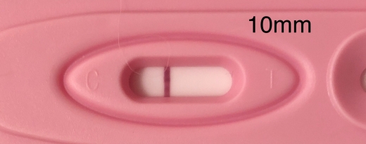 New Choice (Dollar Tree) Pregnancy Test, 9 Days Post Ovulation