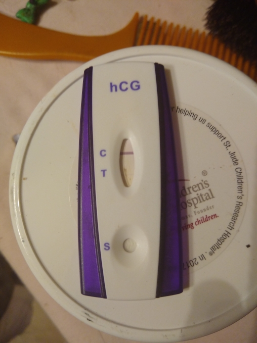 Equate Pregnancy Test, 12 Days Post Ovulation, Cycle Day 27