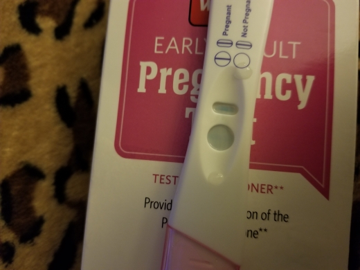 Generic Pregnancy Test, 14 Days Post Ovulation
