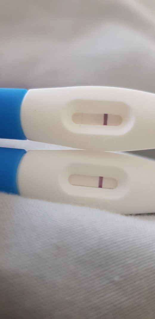 Generic Pregnancy Test, 12 Days Post Ovulation, Cycle Day 29