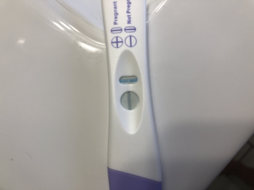 Generic Pregnancy Test, Cycle Day 41