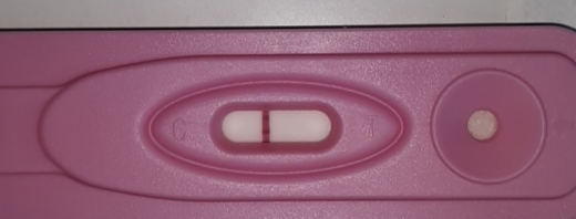 Generic Pregnancy Test, 15 Days Post Ovulation, Cycle Day 26