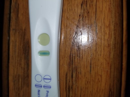 First Response Early Pregnancy Test, Cycle Day 31