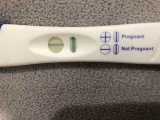 CVS One Step Pregnancy Test, 12 Days Post Ovulation, FMU, Cycle Day 31