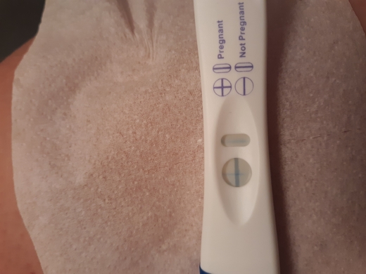 Equate Pregnancy Test, 19 Days Post Ovulation, Cycle Day 35