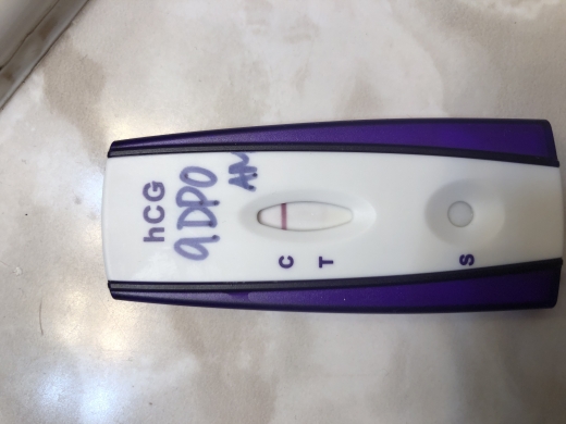 First Signal One Step Pregnancy Test, 9 Days Post Ovulation, FMU, Cycle Day 24