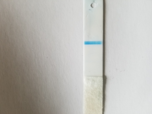 Equate Pregnancy Test, 13 Days Post Ovulation, Cycle Day 29