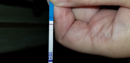 Generic Pregnancy Test, 8 Days Post Ovulation, Cycle Day 23