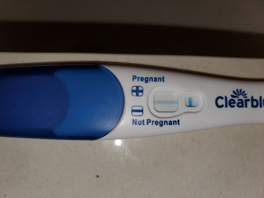 Clearblue Plus Pregnancy Test, 10 Days Post Ovulation, Cycle Day 28