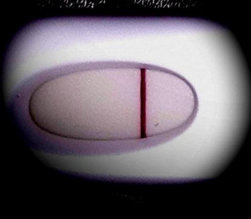 First Response Rapid Pregnancy Test, 8 Days Post Ovulation, FMU