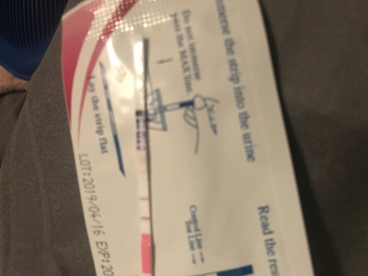 Generic Pregnancy Test, Cycle Day 37