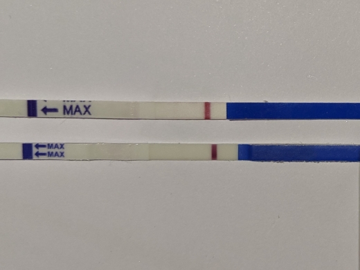 Generic Pregnancy Test, 9 Days Post Ovulation, Cycle Day 21