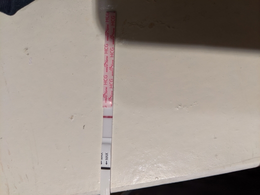 Generic Pregnancy Test, 11 Days Post Ovulation, Cycle Day 23