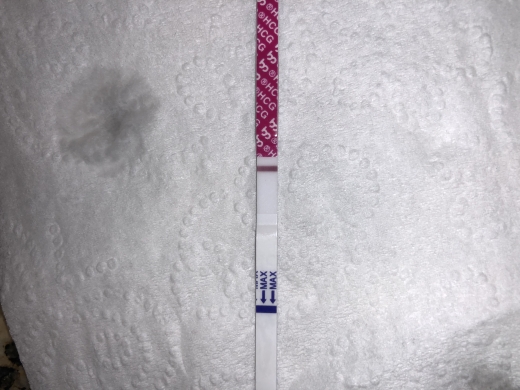 Generic Pregnancy Test, 10 Days Post Ovulation, Cycle Day 24