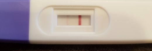 Home Pregnancy Test, 17 Days Post Ovulation, FMU