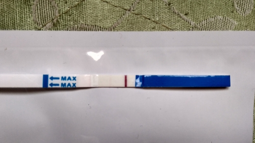 Home Pregnancy Test, 12 Days Post Ovulation, FMU, Cycle Day 28