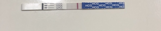 Generic Pregnancy Test, 13 Days Post Ovulation, FMU, Cycle Day 28