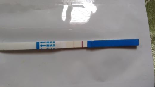 Home Pregnancy Test, 13 Days Post Ovulation, Cycle Day 29