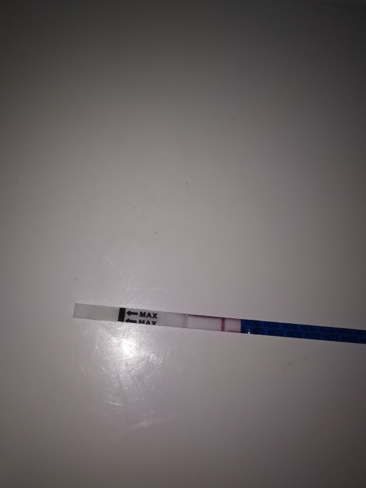 CVS One Step Pregnancy Test, 14 Days Post Ovulation, Cycle Day 43