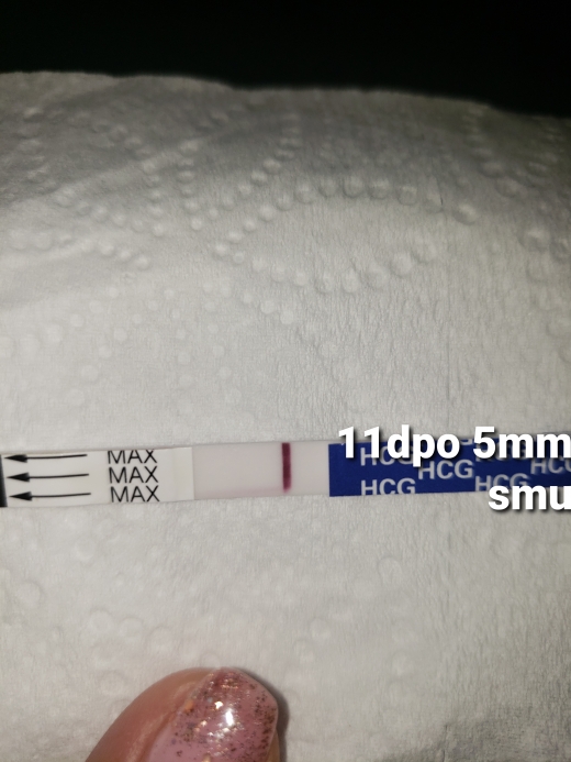 Home Pregnancy Test, 11 Days Post Ovulation, Cycle Day 24