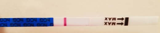 Home Pregnancy Test, 9 Days Post Ovulation, FMU