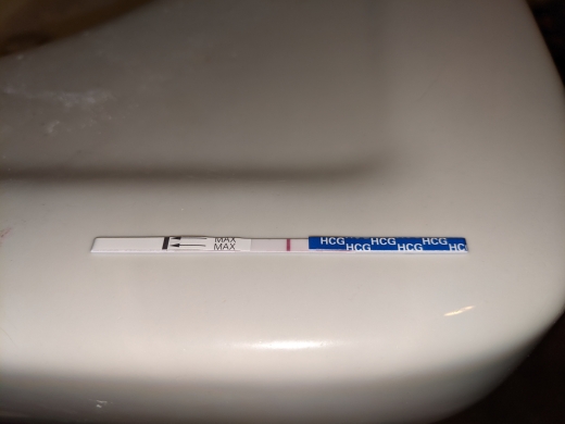 Generic Pregnancy Test, FMU, Cycle Day 39