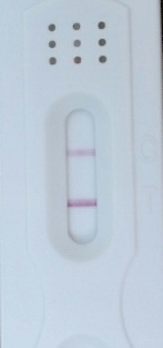 New Choice (Dollar Tree) Pregnancy Test, 15 Days Post Ovulation, Cycle Day 29