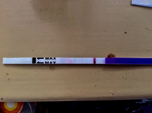 Generic Pregnancy Test, 12 Days Post Ovulation, Cycle Day 28