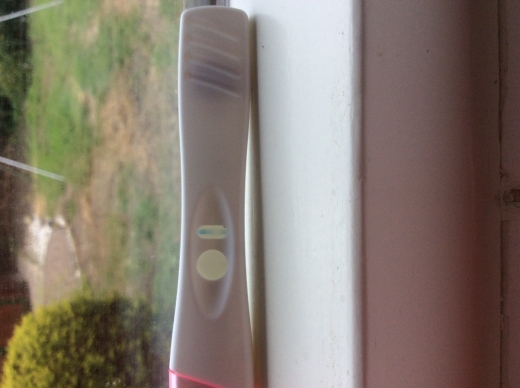 Generic Pregnancy Test, Cycle Day 28