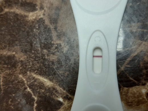 New Choice (Dollar Tree) Pregnancy Test