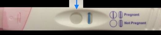 Generic Pregnancy Test, Cycle Day 24
