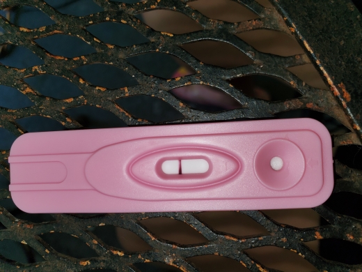 New Choice (Dollar Tree) Pregnancy Test, 12 Days Post Ovulation, Cycle Day 27