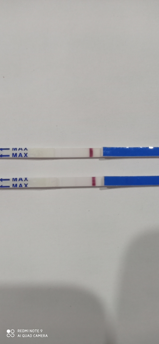 Home Pregnancy Test, 10 Days Post Ovulation, Cycle Day 24