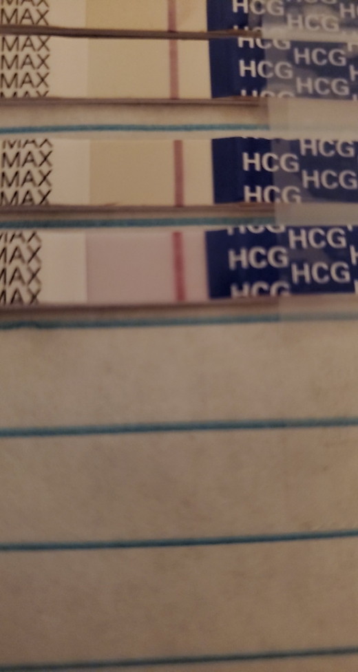 Home Pregnancy Test, 8 Days Post Ovulation, FMU, Cycle Day 22