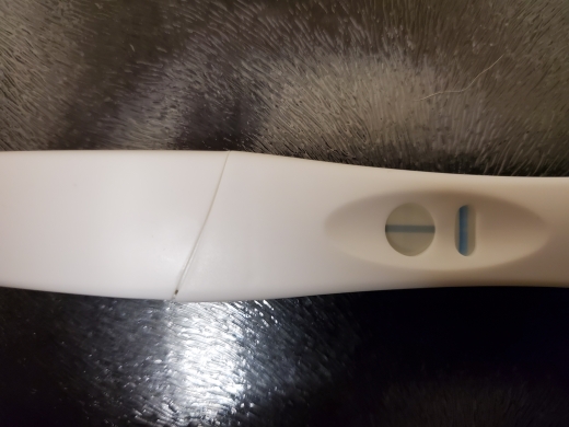 Generic Pregnancy Test, Cycle Day 28