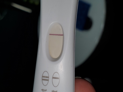 First Response Rapid Pregnancy Test