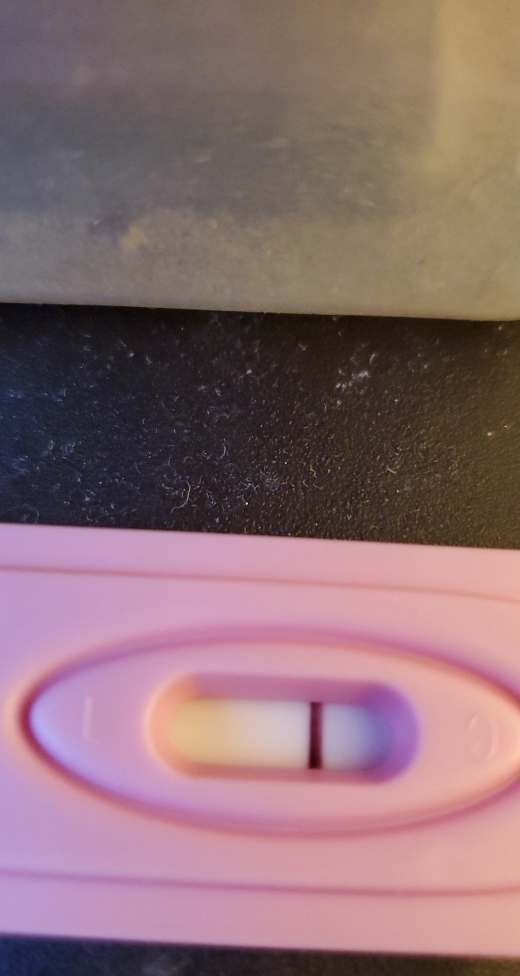 Home Pregnancy Test, 12 Days Post Ovulation, FMU, Cycle Day 31